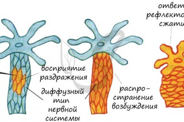 Kraken дарк магазин