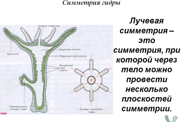 Кракен как попасть